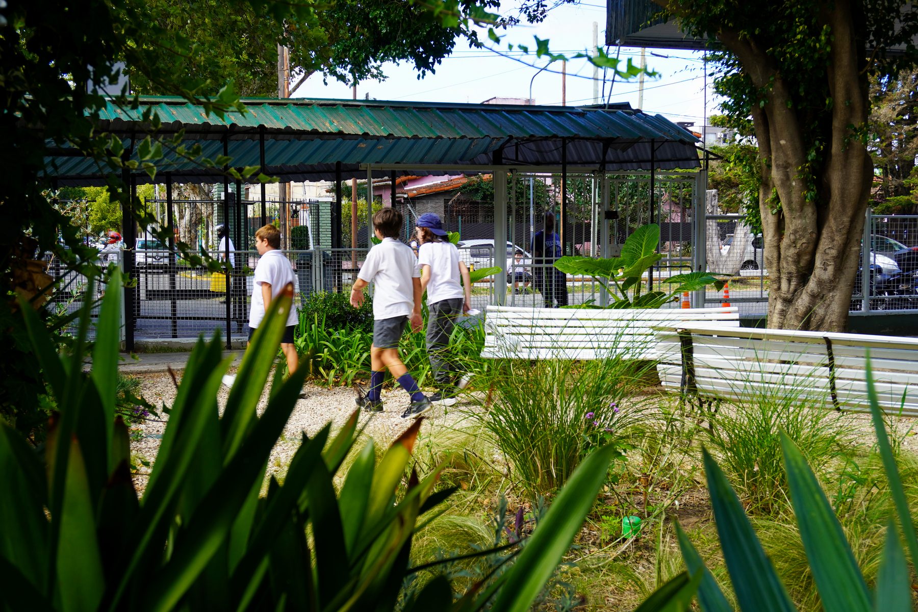 Colegio · 25 años
